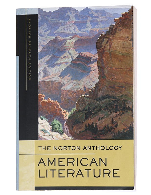 The Norton Anthology of American Literature - Nina Baym - Historiakirjat - 10105567770 - 0