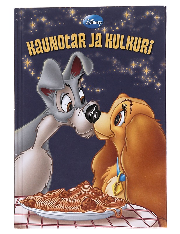 Kaunotar ja Kulkuri - Autio, Hanna - Lastenkirjat - 10105568656 - 0