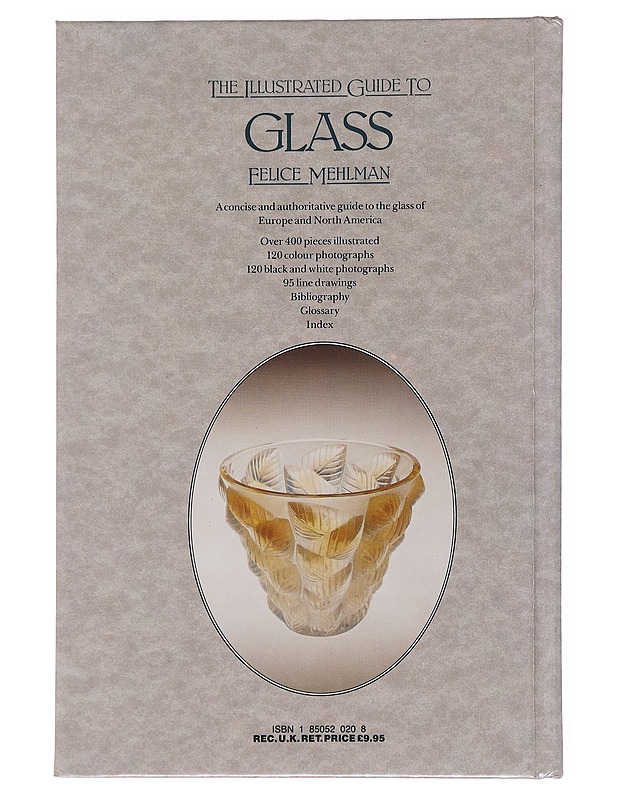 The Illustrated guide to glass - Felice Mehlman - Harrastekirjat - 10105568980 - 1