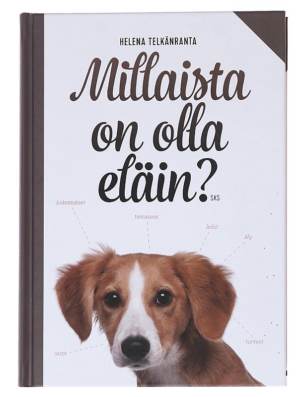 Millaista on olla eläin? - Helena Telkänranta - Tietokirjat ja oppaat - 10105569157 - 0