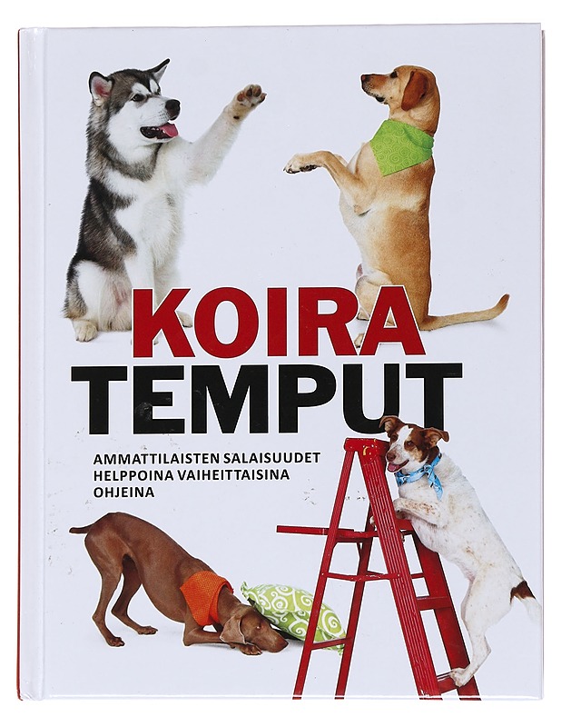 Koiratemput -  Kyra Sundance - Tietokirjat ja oppaat - 10105569373 - 0