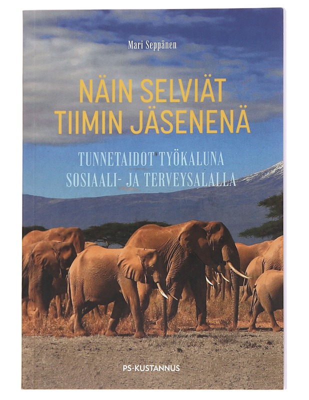 Näin selviät tiimin jäsenenä : tunnetaidot työkaluna sosiaali- ja terveysalalla - Mari Seppänen - Tietokirjat ja oppaat - 10105569589 - 0