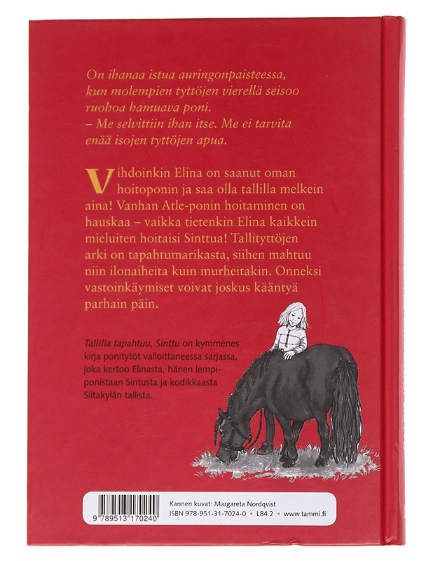 Tallilla tapahtuu, Sinttu - Hallberg, Lin - Lastenkirjat - 10105569601 - 1