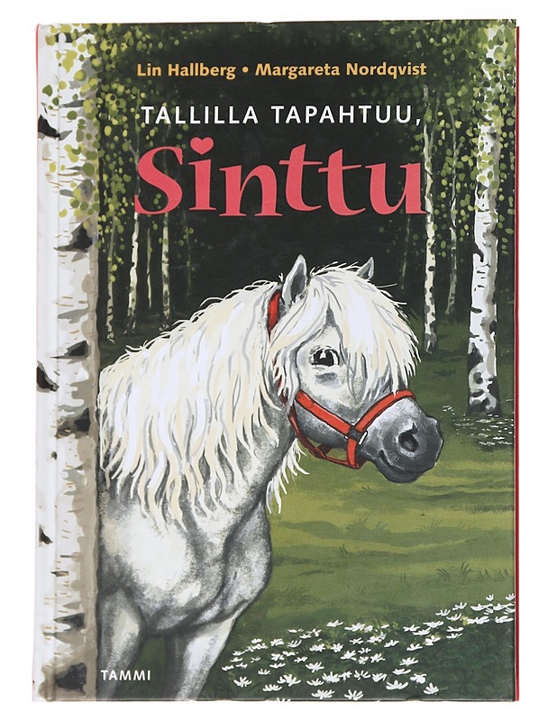 Tallilla tapahtuu, Sinttu - Hallberg, Lin - Lastenkirjat - 10105569601 - 0