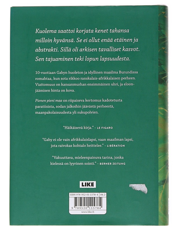 Pienen pieni maa - Faye, Gaël - Romaanit ja novellit - 10105569750 - 1