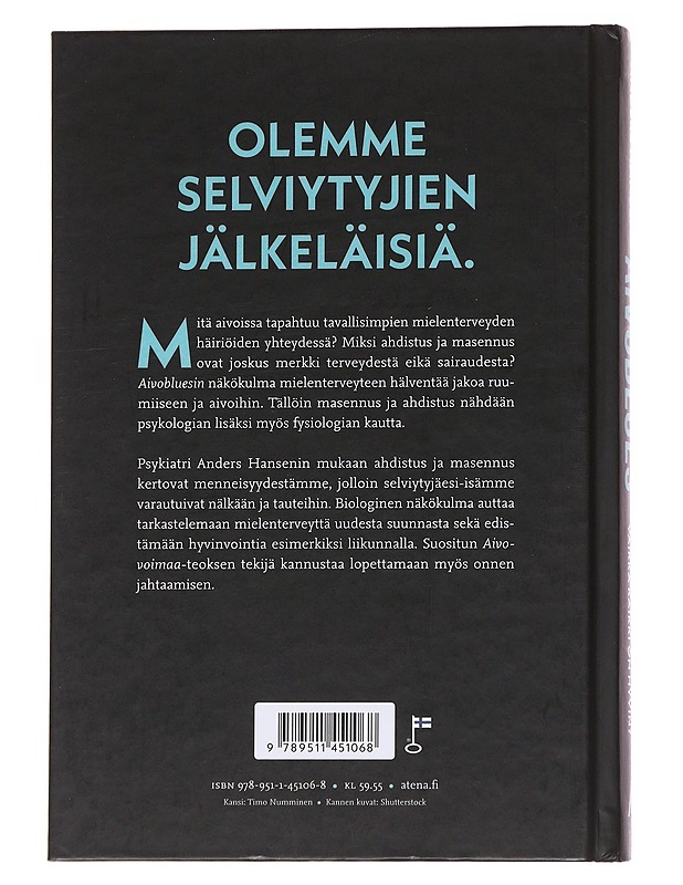 Aivoblues : miksi voimme huonosti, vaikka kaikki on hyvin - Hansen, Anders - Tietokirjat ja oppaat - 10105570592 - 1