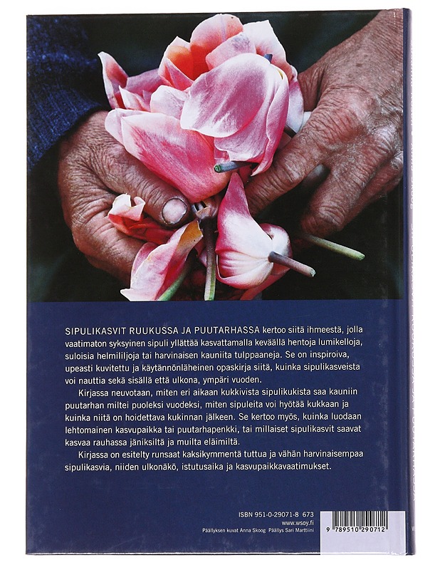 Sipulikasvit / ruukussa ja puutarhassa - Rosén, Susanna - Tietokirjat ja oppaat - 10105571329 - 1