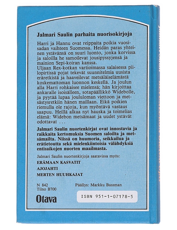 Ketunlukon oravapojat / seikkailuja talvisella salolla - Sauli, Jalmari - Romaanit ja novellit - 10105571427 - 1