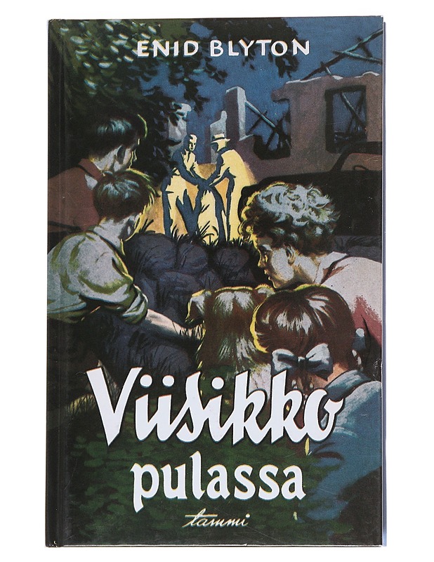Viisikko pulassa - Blyton, Enid - Lastenkirjat - 10105571465 - 0