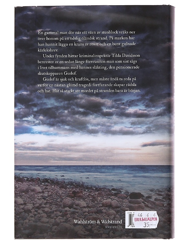 Benvittring - Johan Theorin - Romaanit ja novellit - 10105571505 - 1