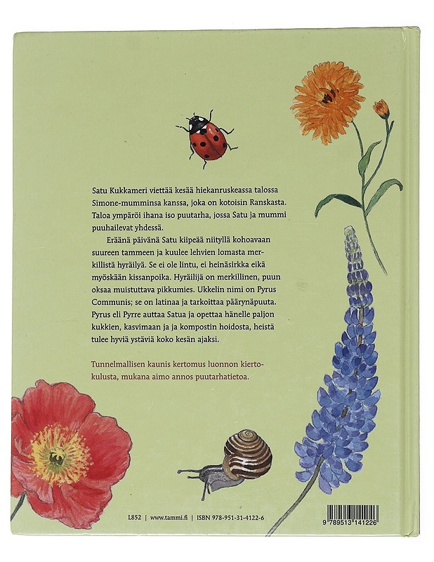 Satu ja päärynäpuun Pyrre - Gullichsen, Anna - Lastenkirjat - 10105572173 - 1