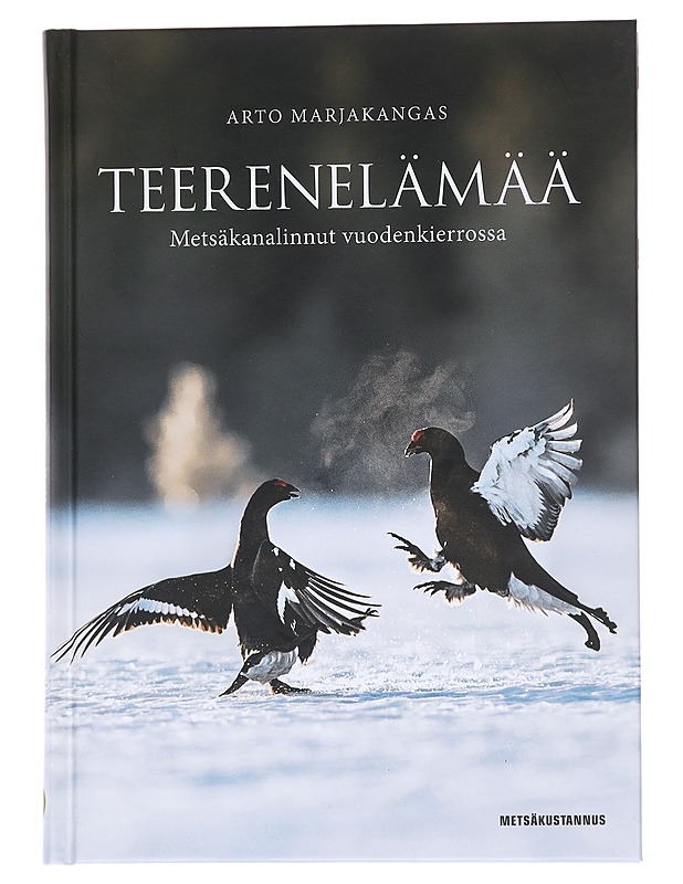 Teerenelämää / metsäkanalinnut vuodenkierrossa - Arto Marjakangas - Tietokirjat ja oppaat - 10105572287 - 0
