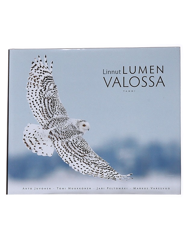 Linnut lumen valossa - Juvonen, Arto - Tietokirjat ja oppaat - 10105572312 - 0