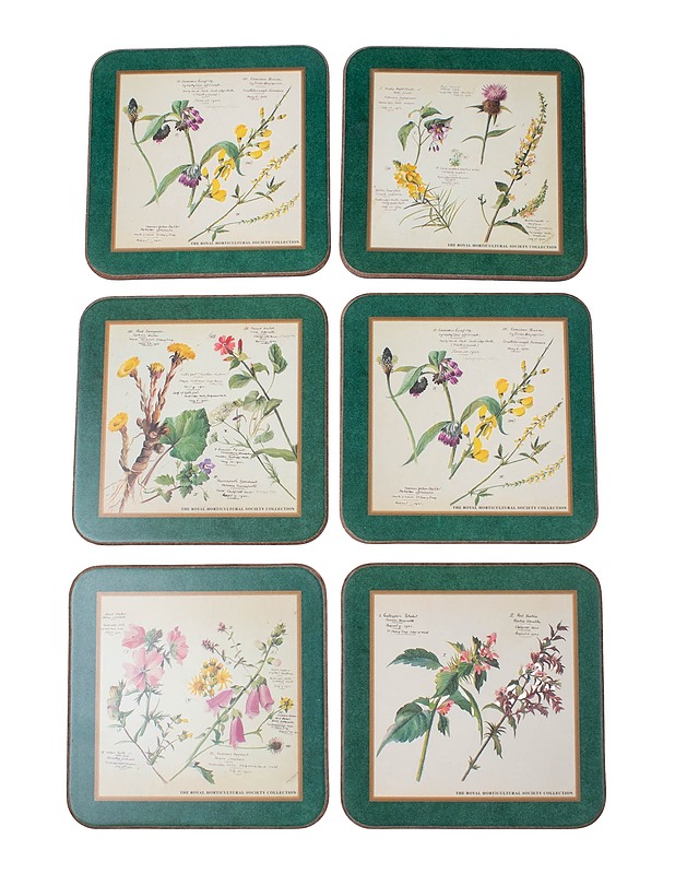 PIMPERNELL The Royal Horticular Society Collection aluset  - Muut astiat - 10105573444 - 1