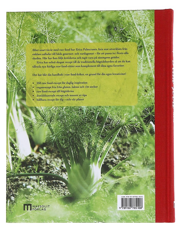 Mitt nya raw food-kök / 250 recept som håller dig frisk och stark året runt - Palmcrantz Aziz, Erica - Ruokakirjat - 10105573480 - 1