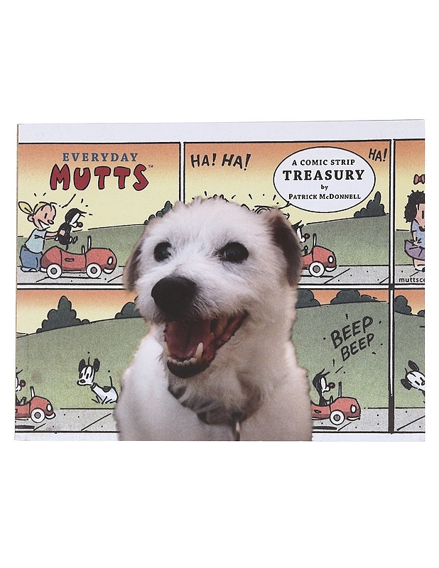 Everyday mutts - Patrick McDonnel - Sarjakuvat - 10105573684 - 0