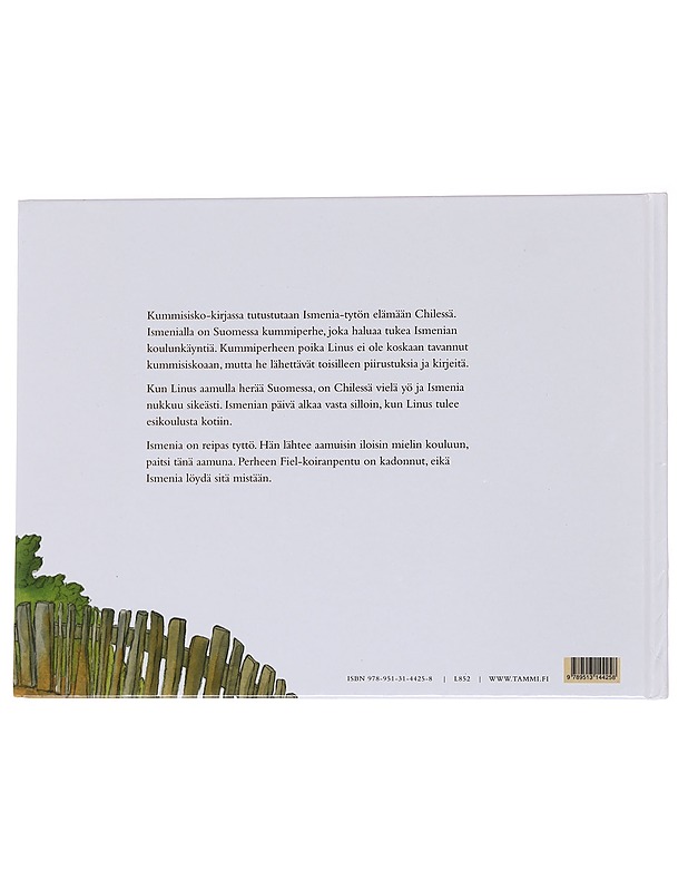 Kummisisko - Mikkanen, Raili - Lastenkirjat - 10105573688 - 1