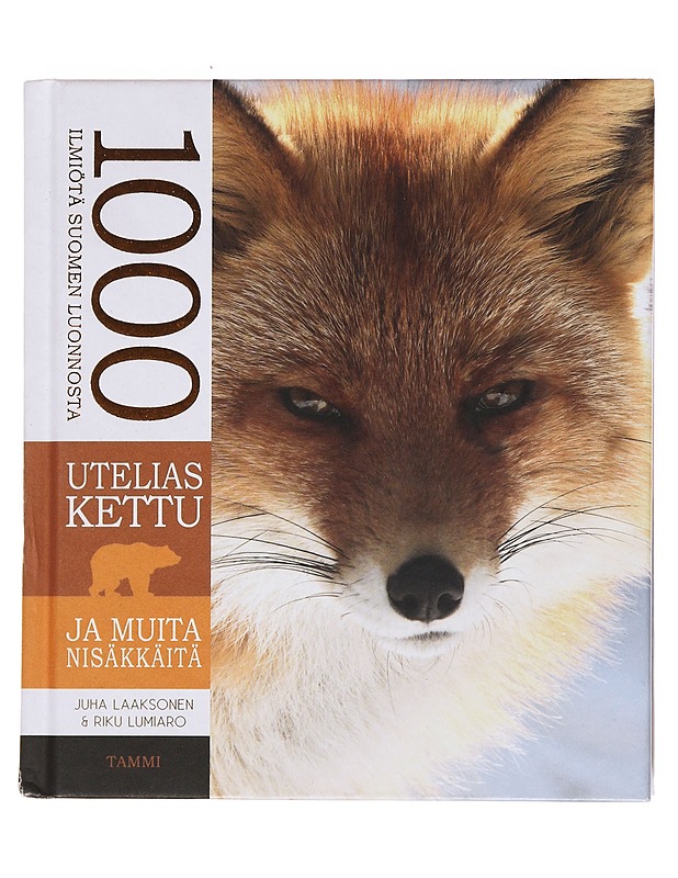 Utelias kettu ja muita nisäkkäitä - Laaksonen, Juha - Tietokirjat ja oppaat - 10105574197 - 0