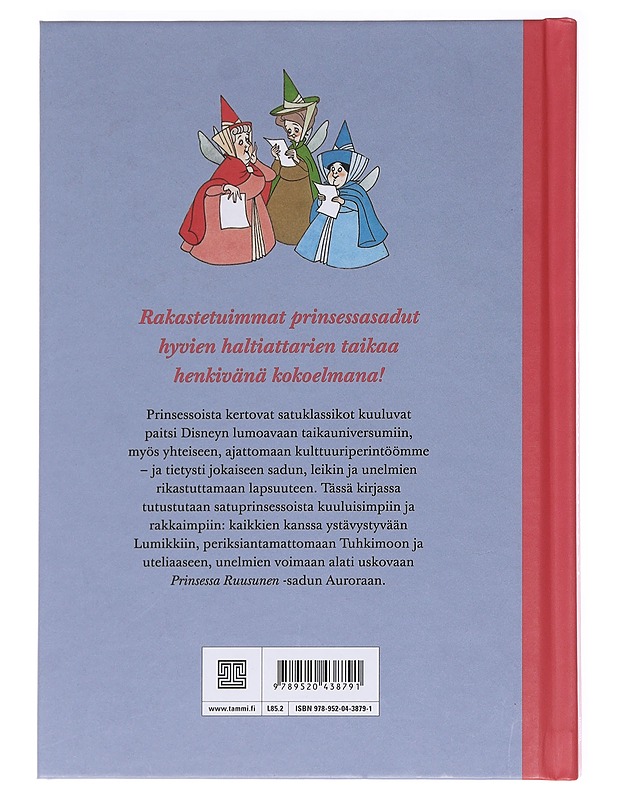 Disneyn satuprinsessat - Wuorio, Mary - Lastenkirjat - 10105574345 - 1