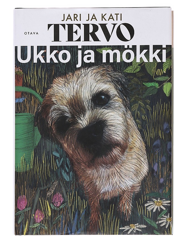 Ukko ja mökki - Tervo, Jari - Elämäkerrat ja muistelmat - 10105574669 - 0