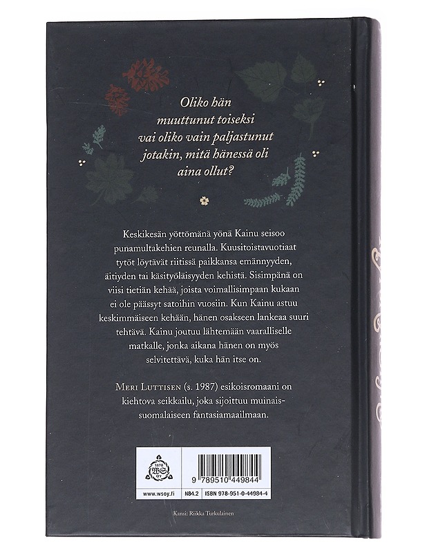 Myrskynsilmä - Meri Luttinen - Romaanit ja novellit - 10105574741 - 1