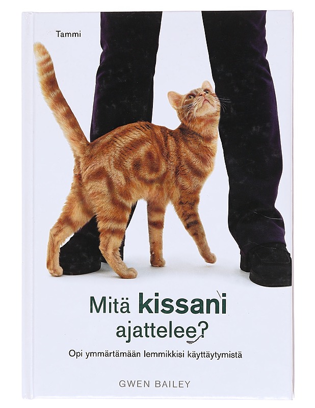 Mitä kissani ajattelee? - BAILEY, GWEN - Tietokirjat ja oppaat - 10105574826 - 0