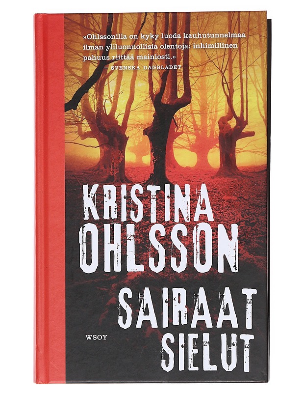 Sairaat sielut - Ohlsson, Kristina - Romaanit ja novellit - 10105574827 - 0