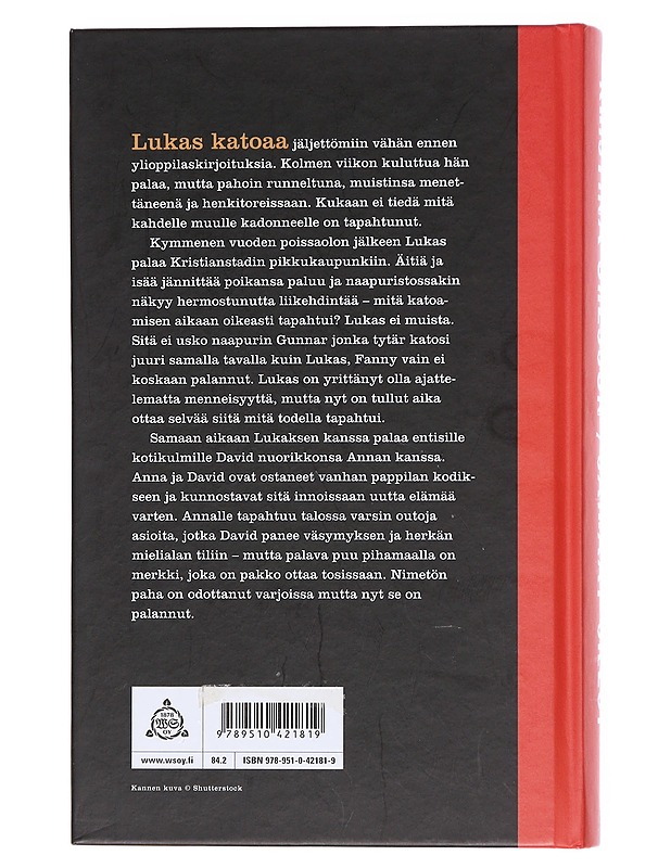 Sairaat sielut - Ohlsson, Kristina - Romaanit ja novellit - 10105574827 - 1