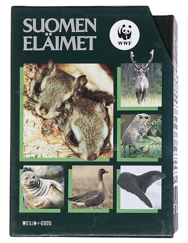 Suomen eläimet: Nisäkkäät, Linnut, Kalat, sammakkoeläimet ja matelijat - Tietokirjat ja oppaat - 10105574833 - 0