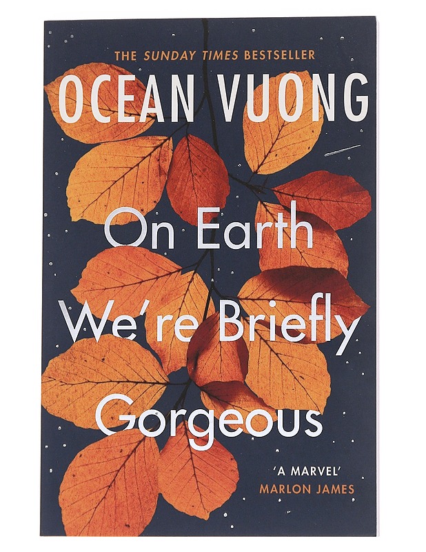 On earth we're briefly gorgeous - Ocean Vuong - Romaanit ja novellit - 10105575418 - 0