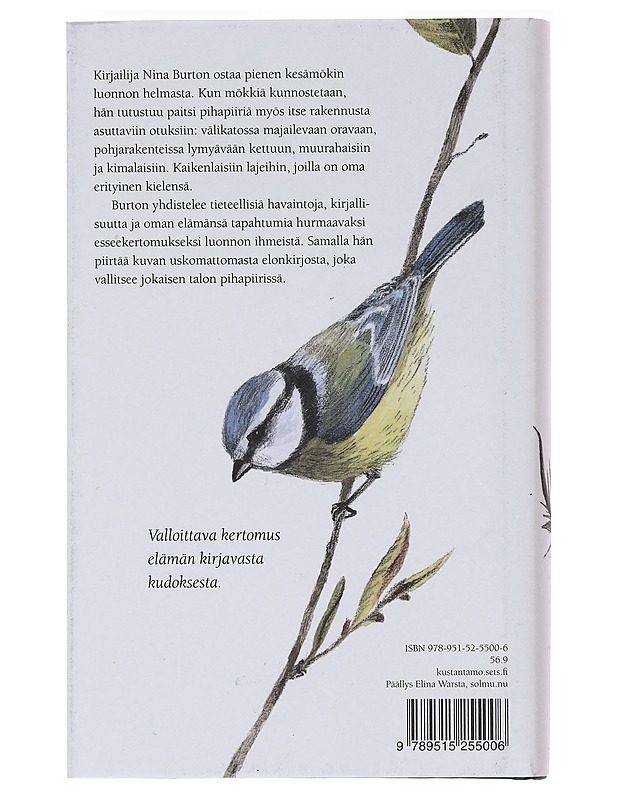 Elämän ohuet seinät - Burton, Nina - Romaanit ja novellit - 10105575718 - 1
