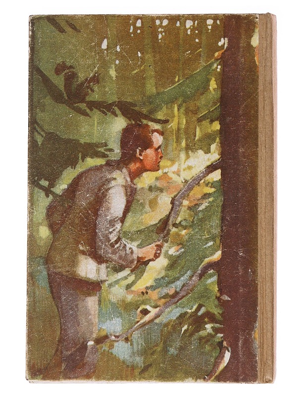 Pikku naisia - Louisa M. Alcott - Nuorten kirjat - 10105576069 - 1