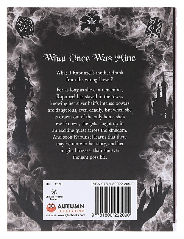 What Once Was Mine - Liz Braswell - Nuorten kirjat - 10105576660 - 1