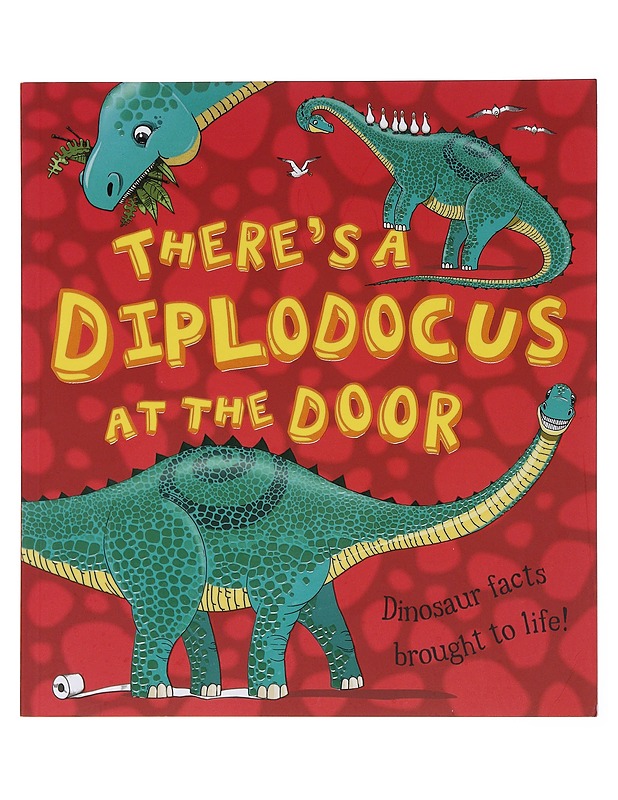 There's a Diplodocus At The Door - Ruth Symons - Lastenkirjat - 10105576950 - 0