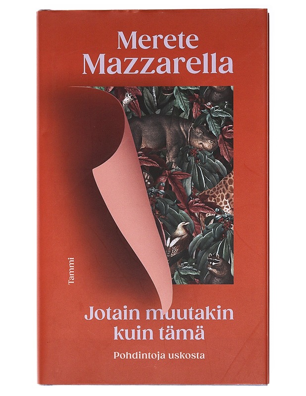Jotain muutakin kuin tämä / pohdintoja uskosta - Mazzarella, Merete - Elämäkerrat ja muistelmat - 10105578446 - 0