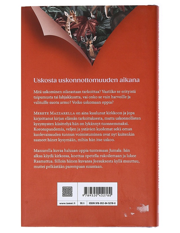 Jotain muutakin kuin tämä / pohdintoja uskosta - Mazzarella, Merete - Elämäkerrat ja muistelmat - 10105578446 - 1