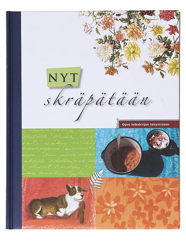 Nyt skräpätään - Jokipaltio, Johanna - Harrastekirjat - 10105578623 - 0
