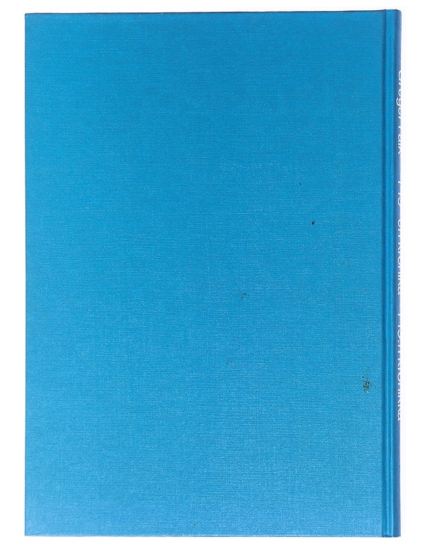 F19:n Kronikka - Greger Falk - Historiakirjat - 10105578638 - 1