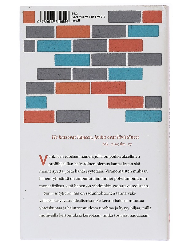Surua se tyttö kantaa - Marianna Stolbow - Romaanit ja novellit - 10105578818 - 1