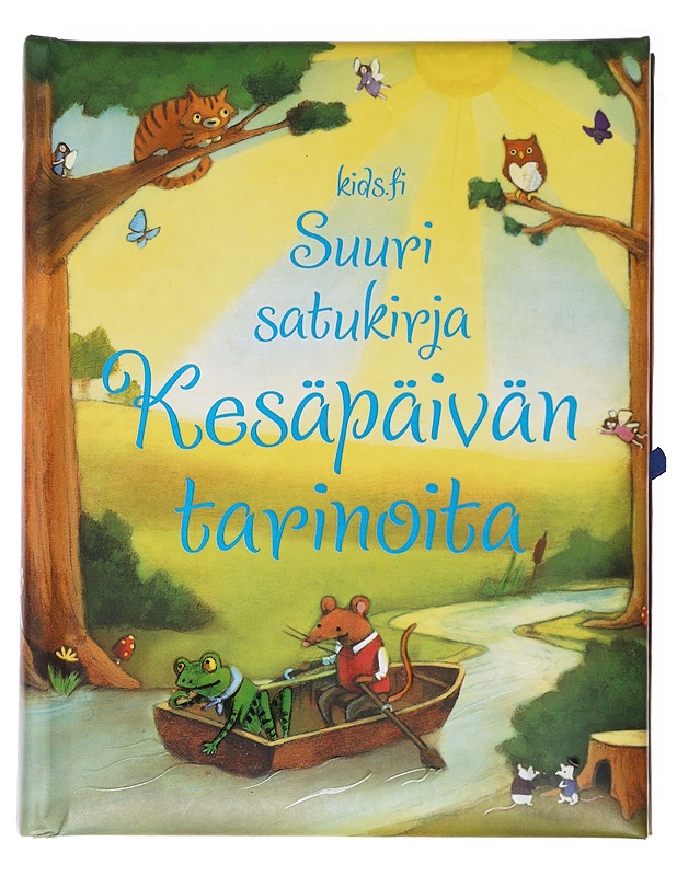 Kesäpäivän tarinoita : suuri satukirja - Sims, Lesley - Lastenkirjat - 10105578856 - 0