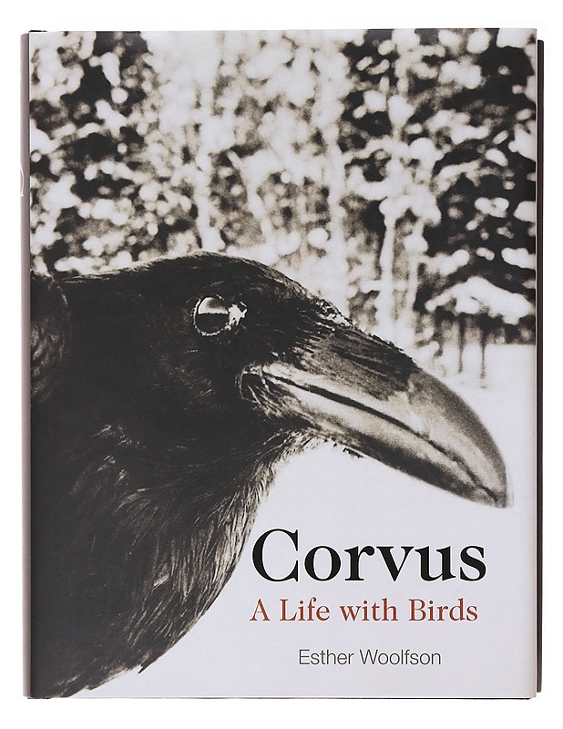 Corvus ; A Life With Birds - Woolfson, Esther - Tietokirjat - 10105579142 - 0
