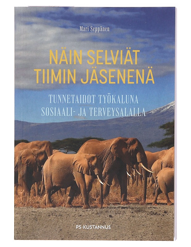 Näin selviät tiimin jäsenenä : tunnetaidot työkaluna sosiaali- ja terveysalalla - Mari Seppänen - Tietokirjat ja oppaat - 10105579369 - 0