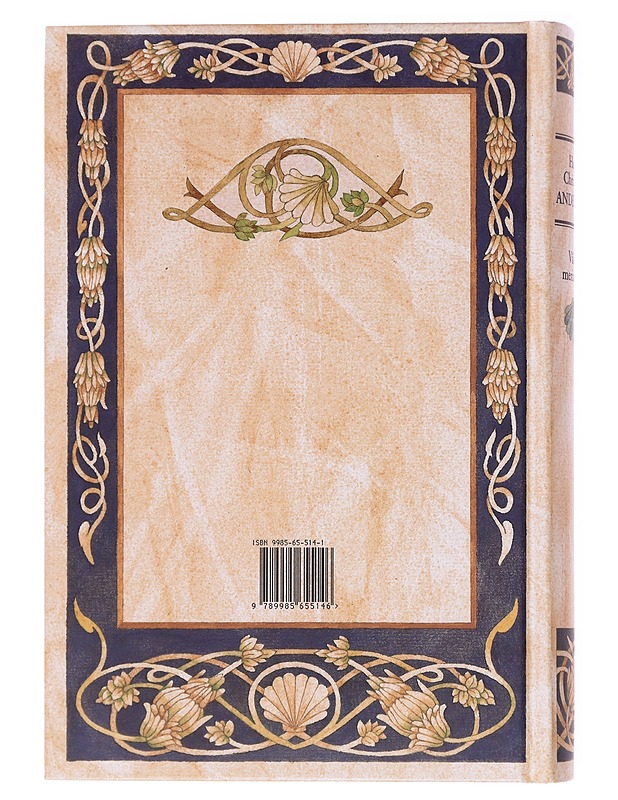 Väike merineitsi - Hans Christian Andersen - Lastenkirjat - 10105579489 - 1