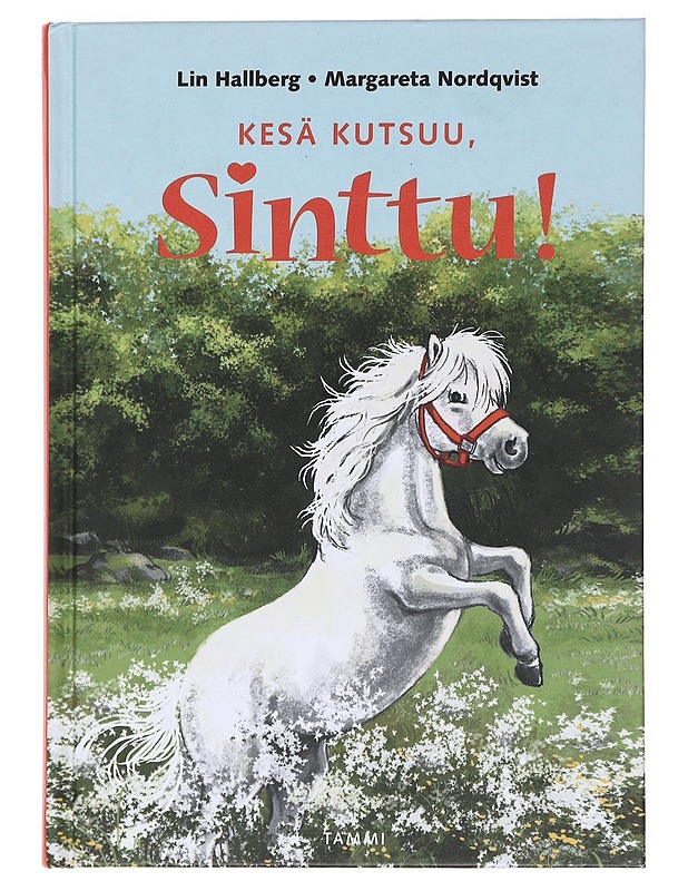 Kesä kutsuu, Sinttu! - Hallberg, Lin - Lastenkirjat - 10105579538 - 0