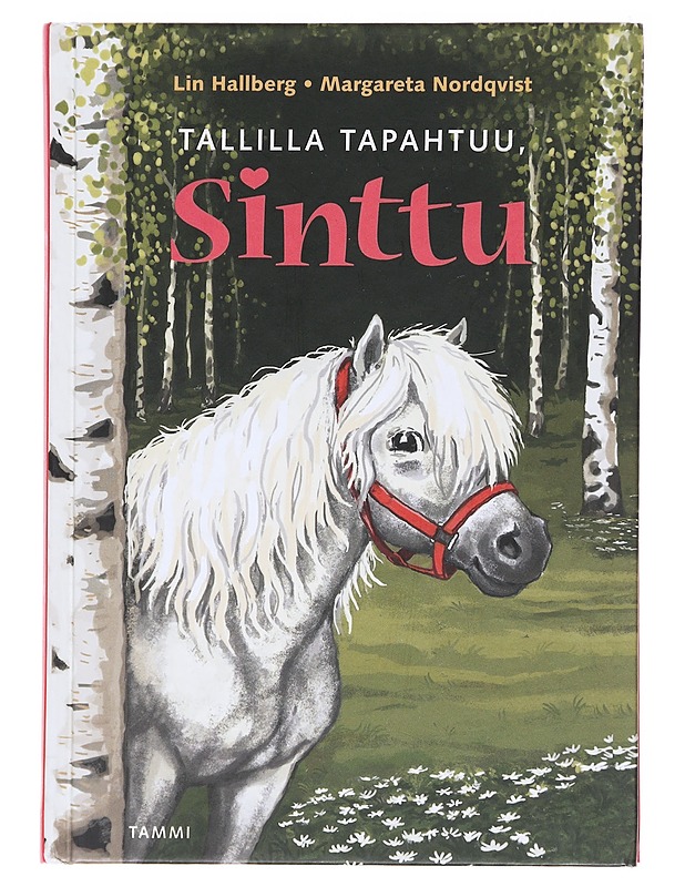 Tallilla tapahtuu, Sinttu - Hallberg, Lin - Lastenkirjat - 10105579542 - 0