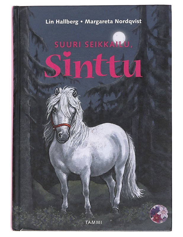 Suuri seikkailu, Sinttu - Hallberg, Lin - Lastenkirjat - 10105579556 - 0