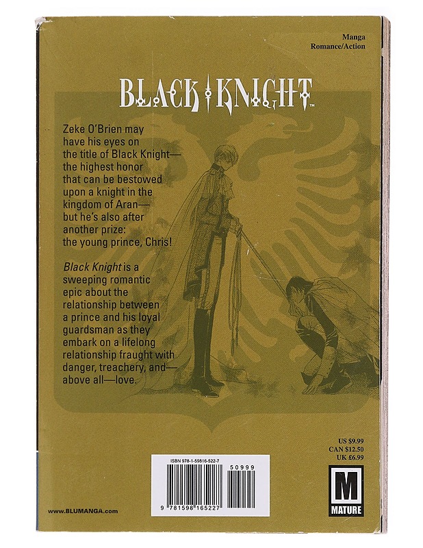 Black knight. Vol. 1 - Tsurugi, Kai - Sarjakuvat - 10105579761 - 1