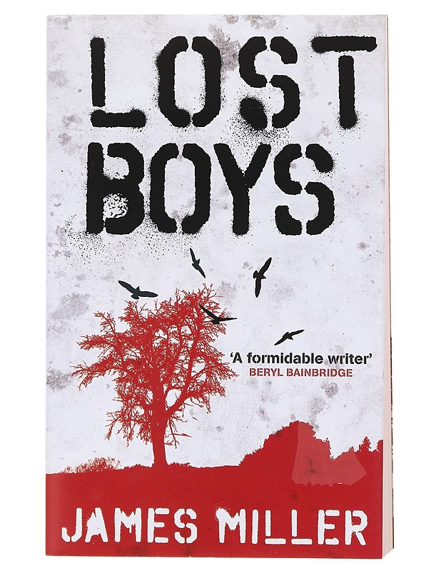 Lost Boys - James Miller - Kaunokirjallisuus - 10105580251 - 0