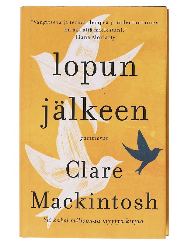 Lopun jälkeen - Mackintosh, Clare - Romaanit ja novellit - 10105580554 - 0