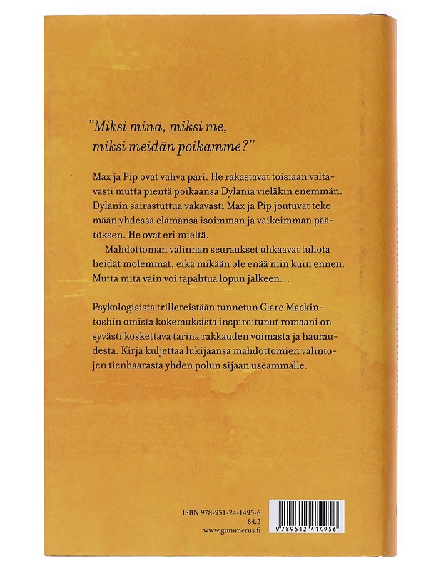 Lopun jälkeen - Mackintosh, Clare - Romaanit ja novellit - 10105580554 - 1
